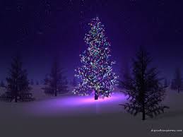 christmas tree outdoor