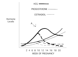 hormone level