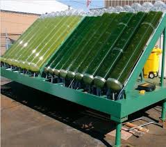 biodiesel energy
