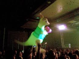 blow up kangaroo
