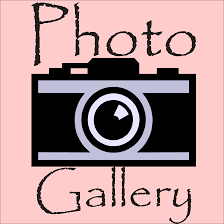 Photo Gallery. Photos of Kevin Wilson's work
