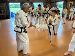 Image result for Tang Sou Dao Ren Yi Wu Kwan - Huntingdon