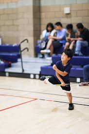 Image result for Gb Landscapes Badminton Club