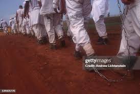 Image result for Freck Chain Gang