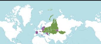 Attēlu rezultāti vaicājumam “Melilotus wolgicus”