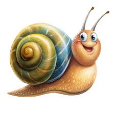 Image result for World Snail Racing Championships