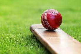 Image result for Litchborough Cricket Club