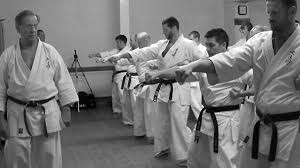 Image result for Taunton Karate Jutsu