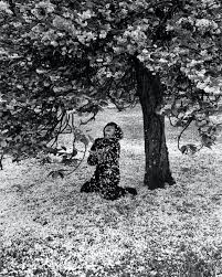 Image result for edouard boubat