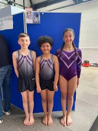 Image result for WALSALL GYMNASTICS CLUB