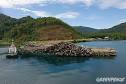 Reports « West Papua Action Network