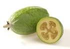<b>Feijoa</b>