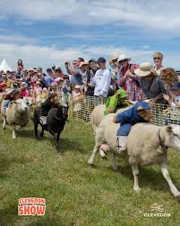Image result for Clevedon Badminton Club