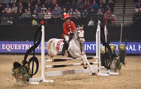 Image result for Liverpool Equestrian Club