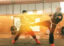 Image result for Hertfordshire Iga Ryu Ninjutsu