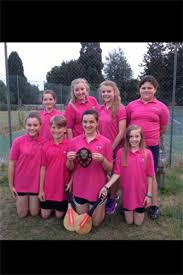 Image result for Alfold Stoolball Club