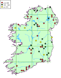 Attēlu rezultāti vaicājumam “Scoliciosporum chlorococcum”