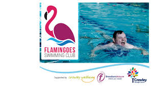 Image result for Crawley Swimming Club