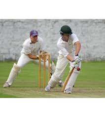 Image result for Ferring Cricket Club