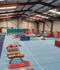 Image result for stonehaven gymnastics club