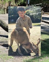 Image result for Reading Kangaroos