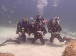 Image result for Woking Junior Snorkelling Club