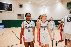 Image result for Nottingham Wildcats