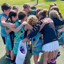 Image result for Wakefield Phoenix Netball Club