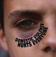 Diversity Domestic Violence