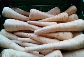 Image result for Pastinake