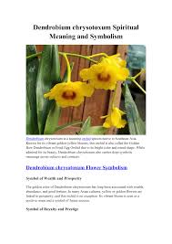 Attēlu rezultāti vaicājumam “Chrysotoxum sp.”