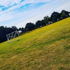 Image result for Thames Ditton Schools Fc