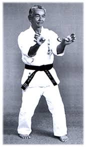 Image result for Ryuko Dojo