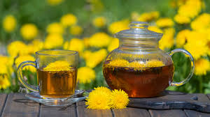 Image result for diente de leon