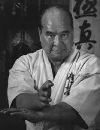 Image result for Kyoku Kenjutsu Kai