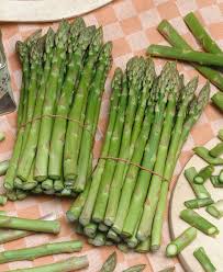 Attēlu rezultāti vaicājumam “Asparagus officinalis fruit”