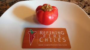 Afbeeldingsresultaat voor hungarian sweet apple sweet pepper