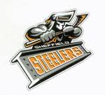 Image result for Sheffield Steelers