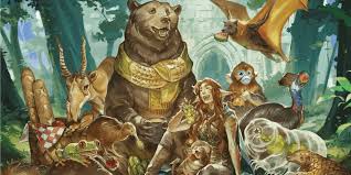 Image result for druid