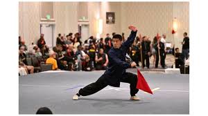 Image result for Shaolin Nam Pai Chuan Kung Fu - Manchester Martial Arts Centre