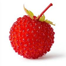 Attēlu rezultāti vaicājumam “Rubus plicatus fruit”