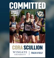 Image result for omagh harriers