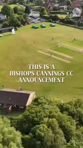 Image result for All Cannings Cricket Club