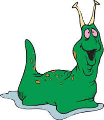 Iimage green slug To Slug or not To Slug