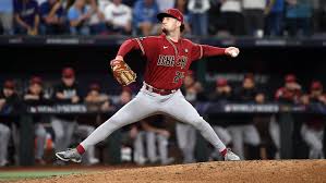 Image result for World Groundball Association