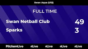 Image result for Swan Centre Netball Club