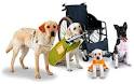 Service Dog Supplies, Accessories &amp; Resources, Working Dog Equipment