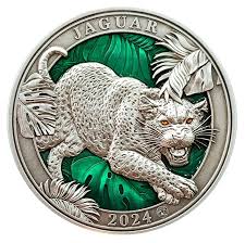 Image result for Argent Silver 1981 Jaguar