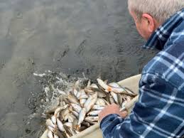 Image result for CALPAC Angling Club