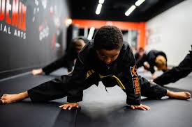 Image result for Phoenix Martial Arts